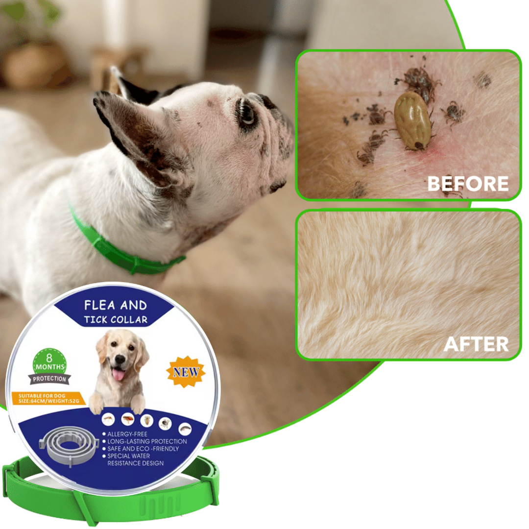 Pawzfect™ 8 Months Flea and Tick Free