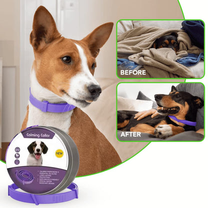 Pawzfect™ - Pheromones Calming Collar.