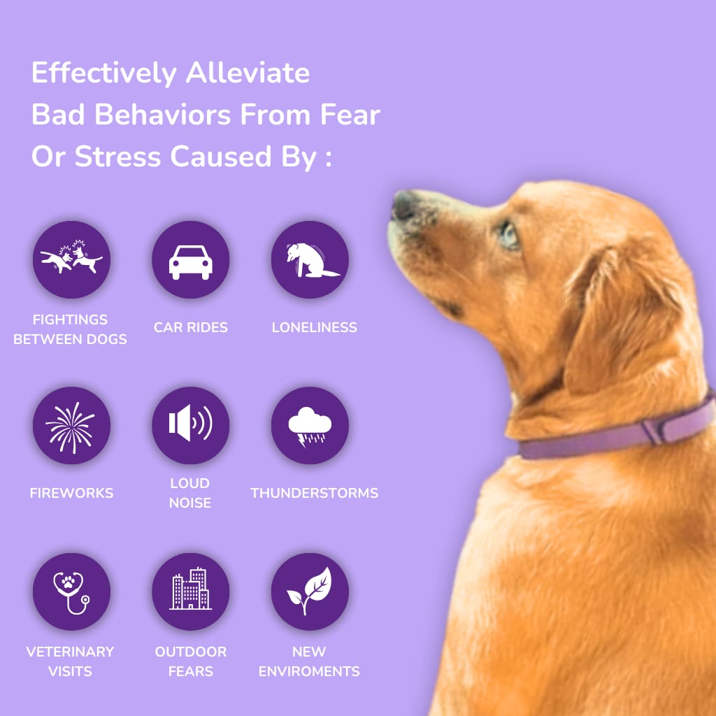 Pawzfect™ - Pheromones Calming Collar.