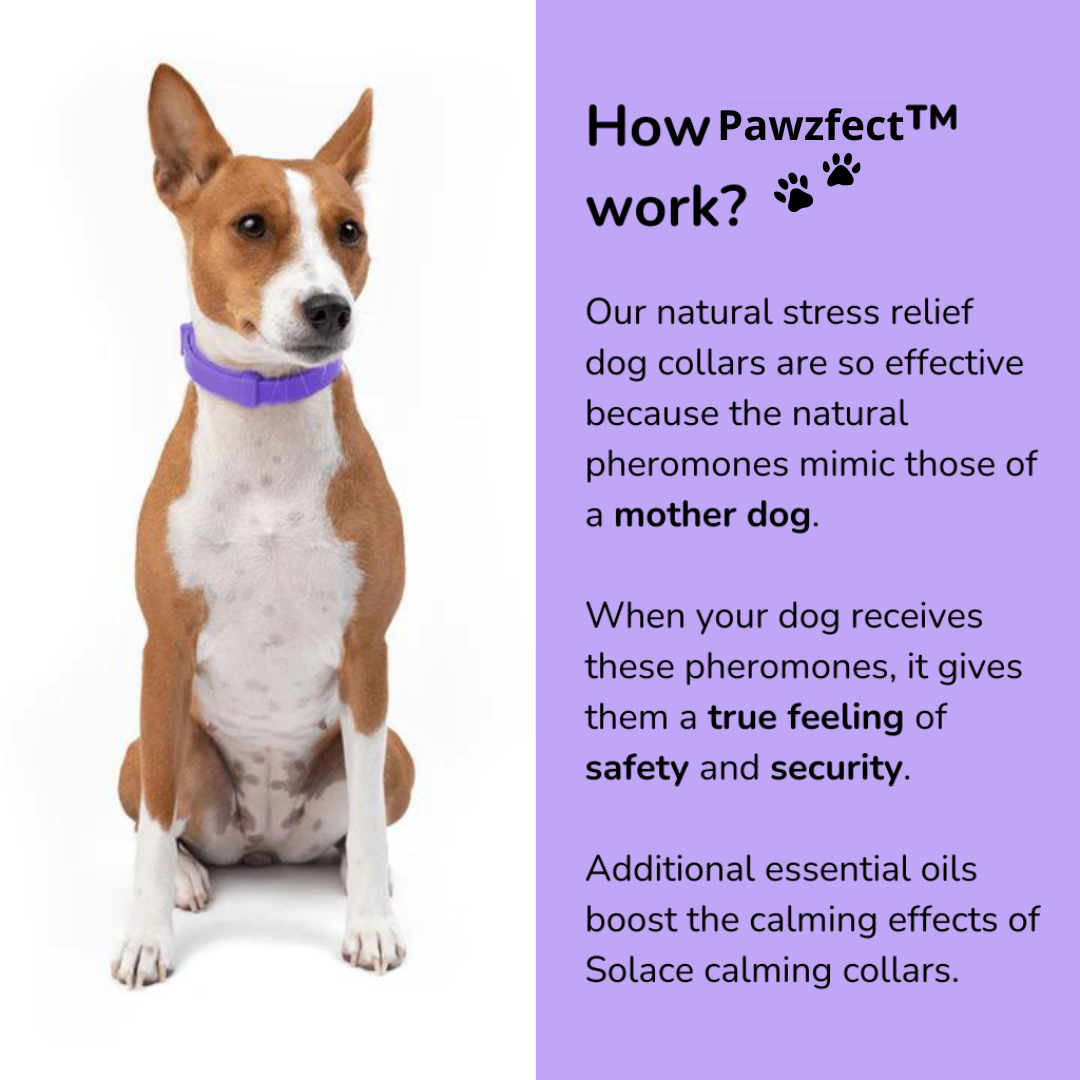 Pawzfect™ - Pheromones Calming Collar.